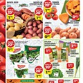 Antevisão Folheto PINGO DOCE Lojas Grandes Promoções de 20 a 26 outubro p6.jpg
